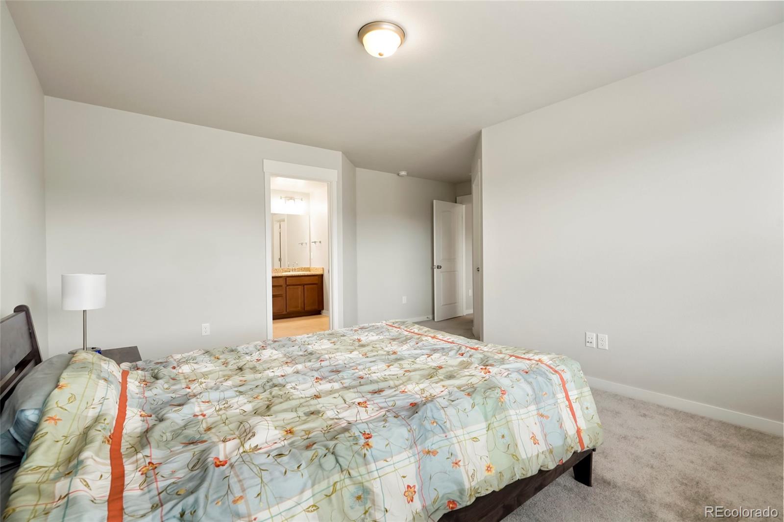 MLS Image #16 for 4413  lyceum court,timnath, Colorado
