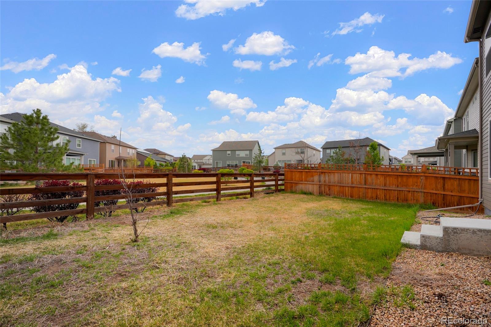 MLS Image #24 for 4413  lyceum court,timnath, Colorado