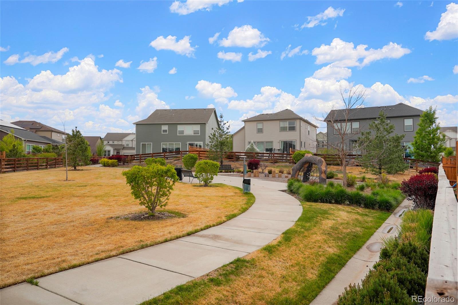 MLS Image #25 for 4413  lyceum court,timnath, Colorado
