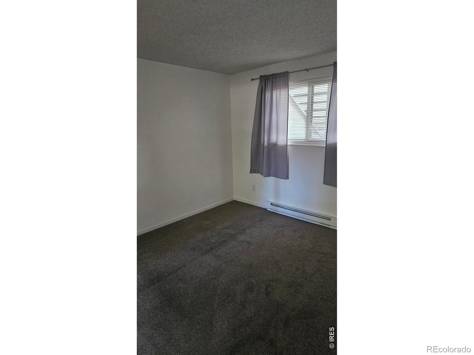MLS Image #12 for 925  columbia road,fort collins, Colorado