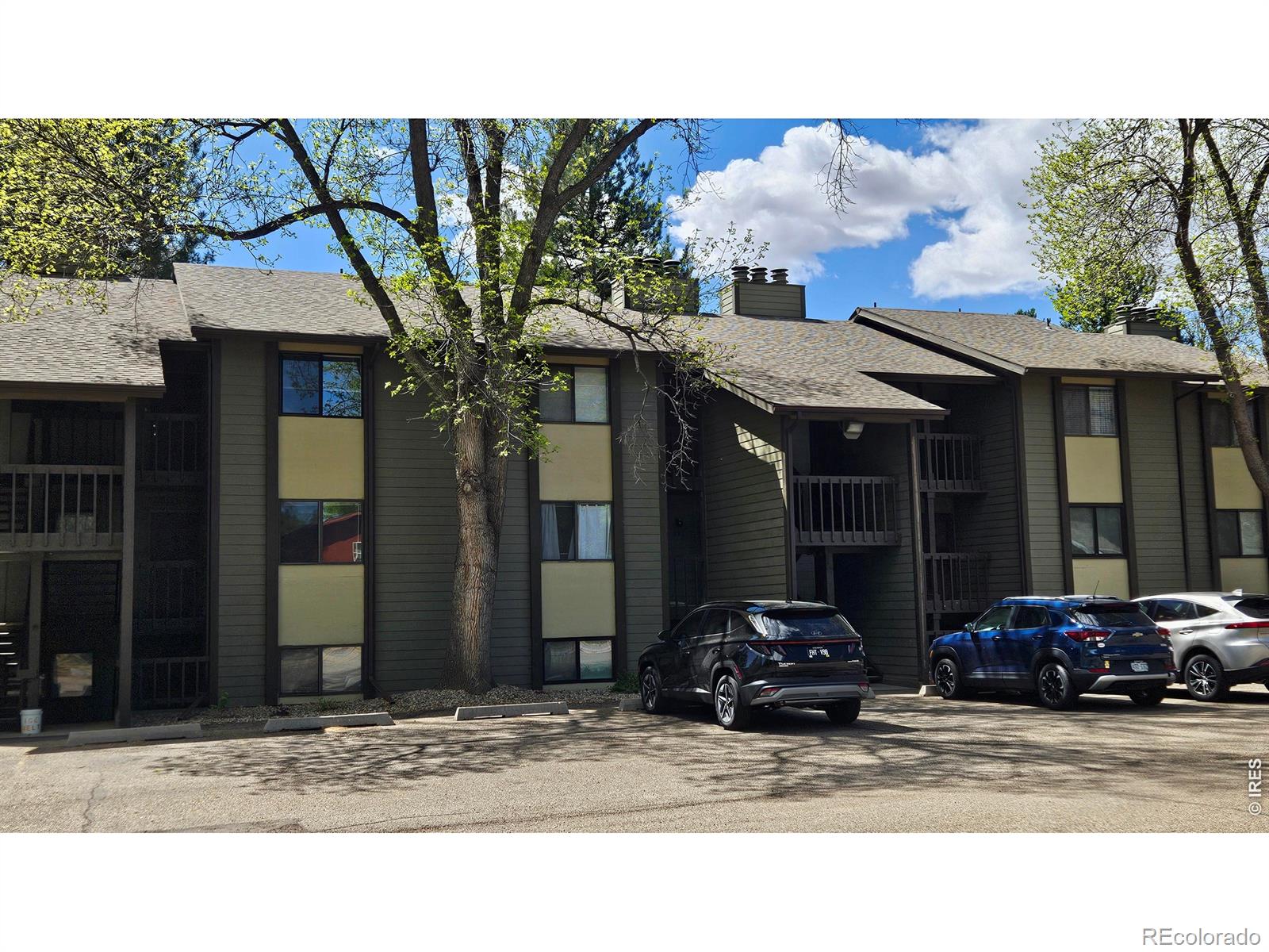 MLS Image #13 for 925  columbia road,fort collins, Colorado