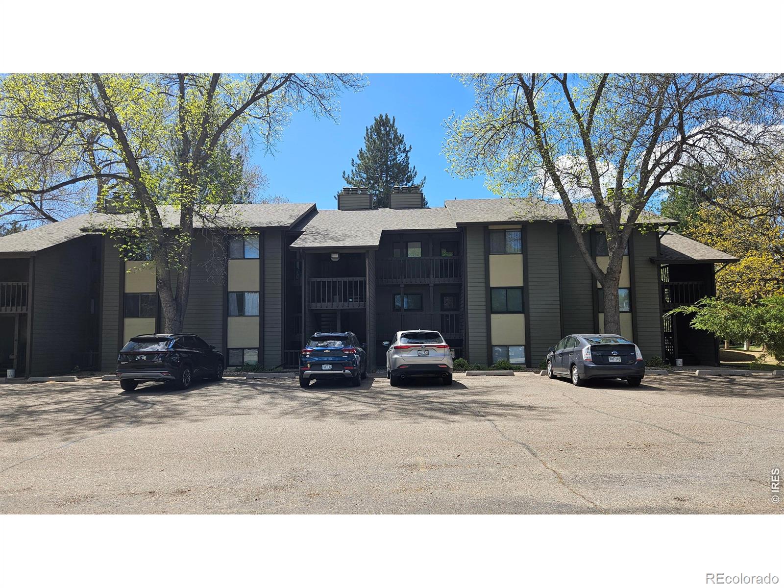 MLS Image #15 for 925  columbia road,fort collins, Colorado