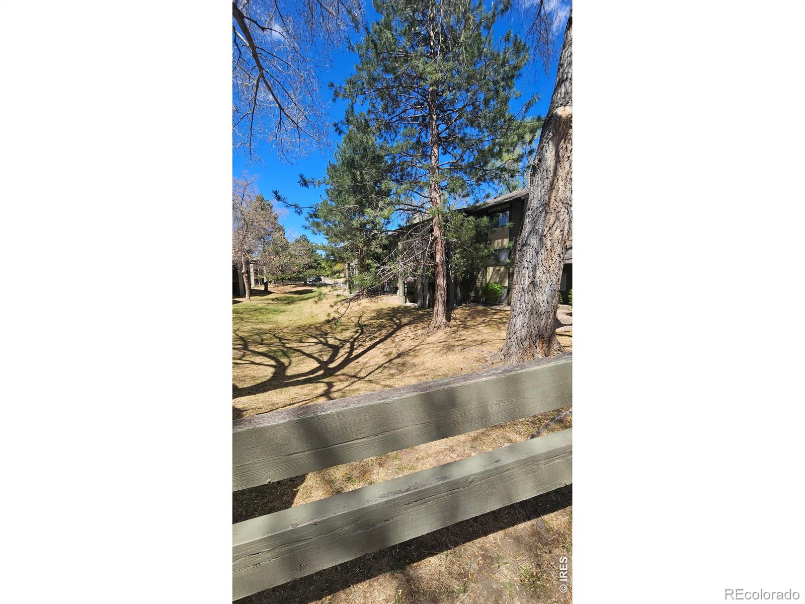 MLS Image #16 for 925  columbia road,fort collins, Colorado