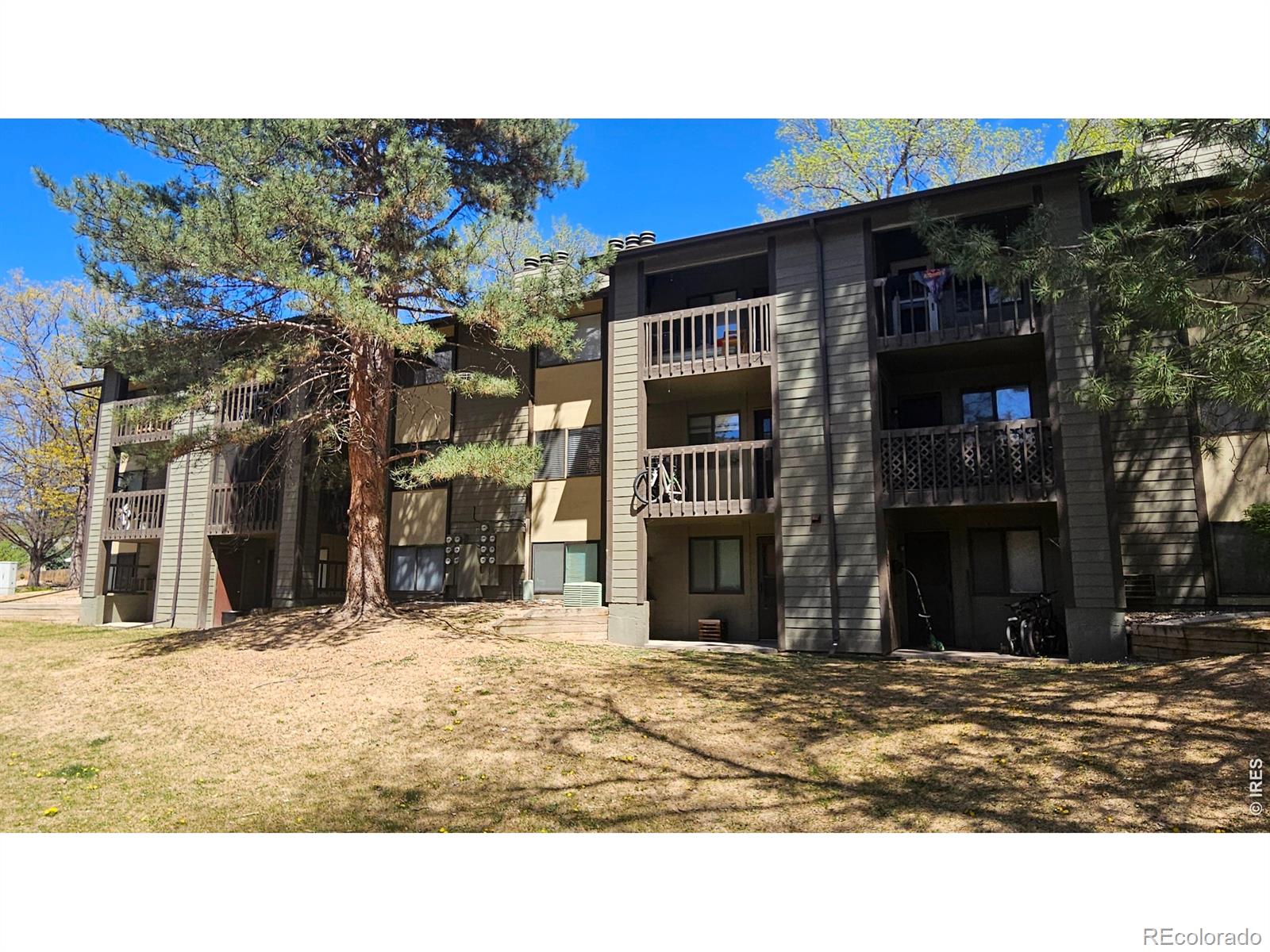 MLS Image #17 for 925  columbia road,fort collins, Colorado