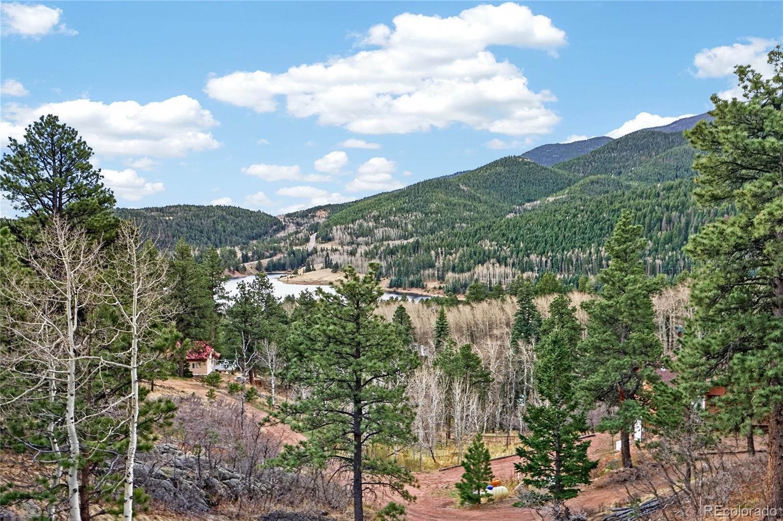 MLS Image #10 for 161  highland circle,rye, Colorado