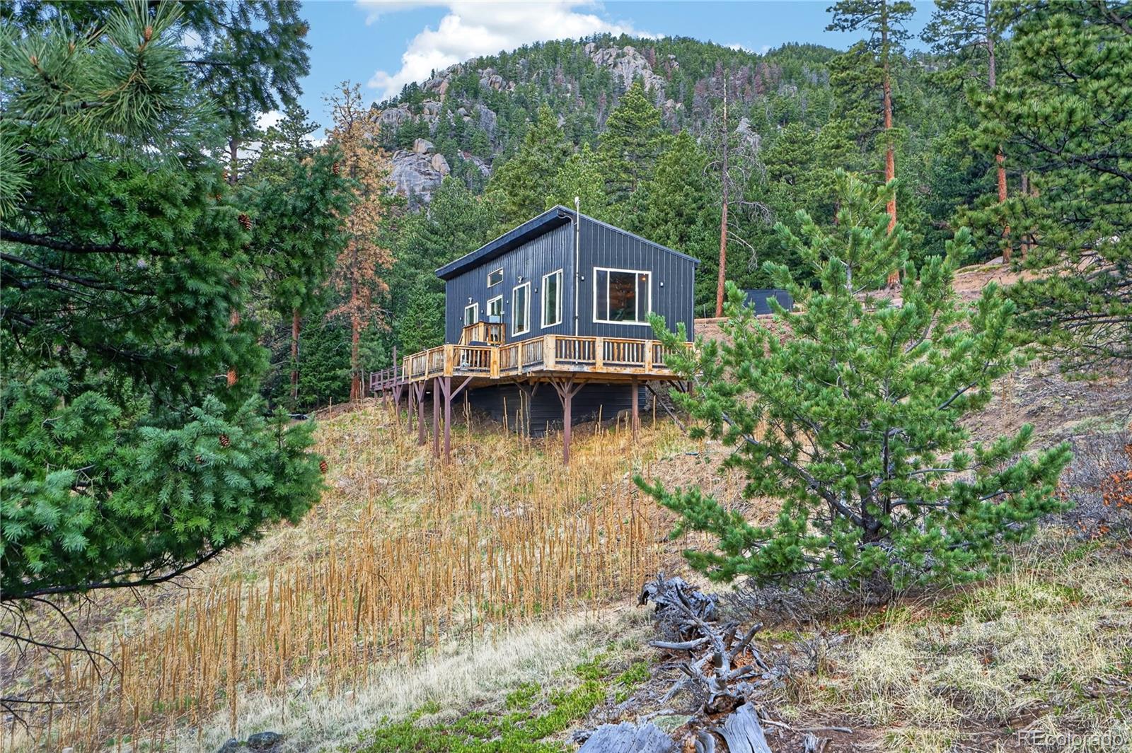 MLS Image #11 for 161  highland circle,rye, Colorado