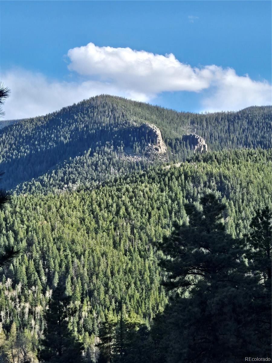 MLS Image #2 for 161  highland circle,rye, Colorado