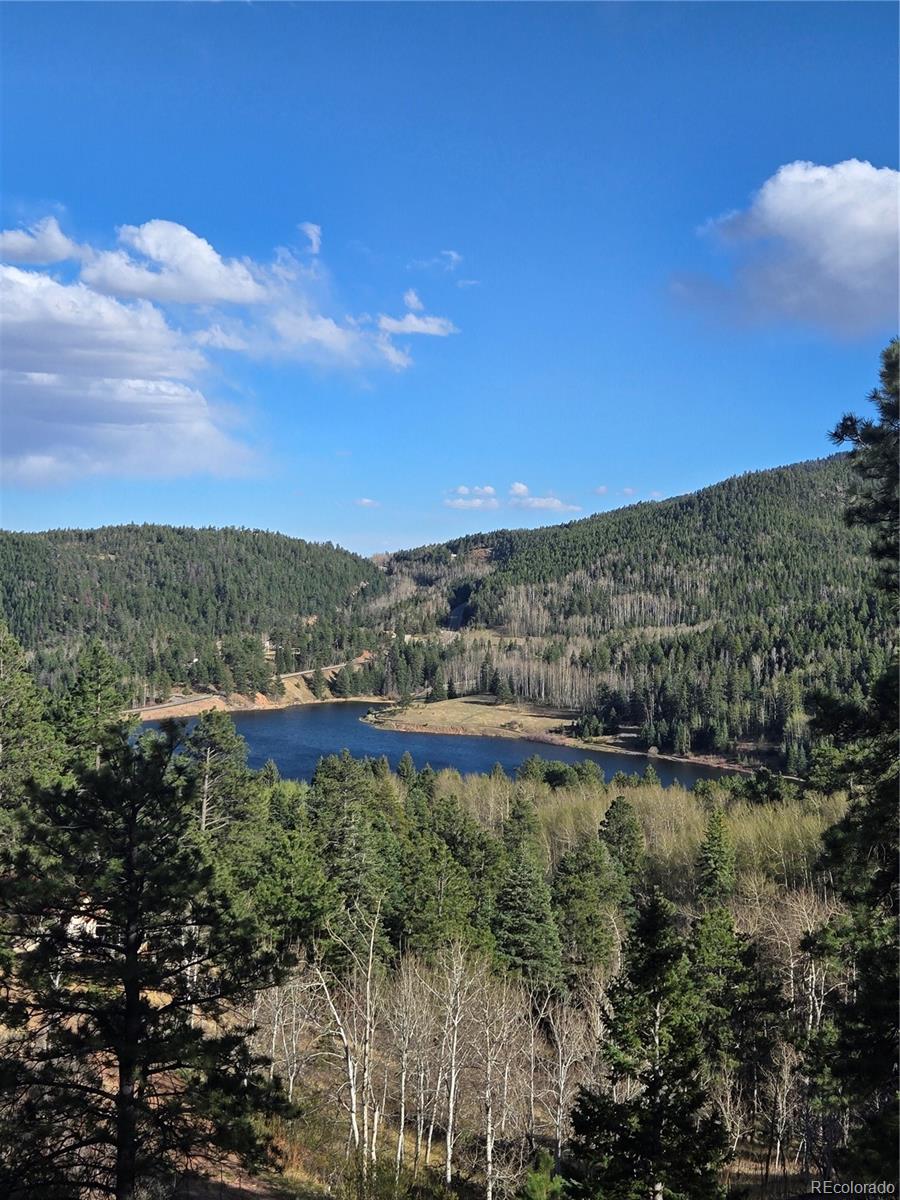 MLS Image #3 for 161  highland circle,rye, Colorado