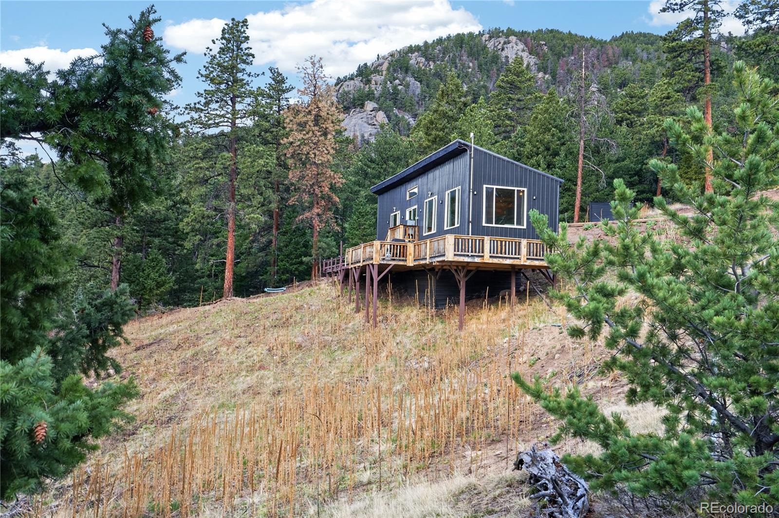 MLS Image #4 for 161  highland circle,rye, Colorado