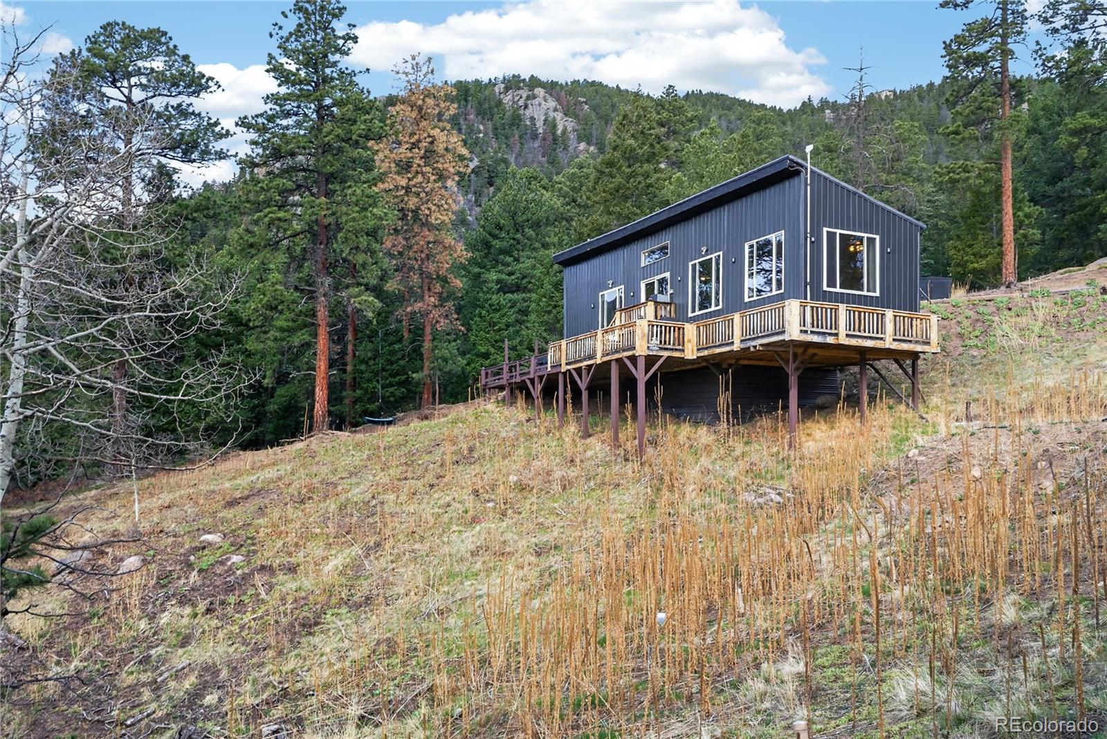 MLS Image #9 for 161  highland circle,rye, Colorado