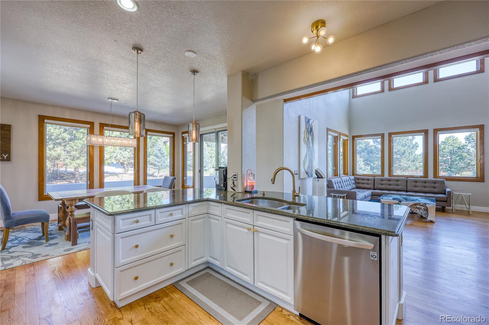 MLS Image #13 for 7963  glen ridge drive,castle pines, Colorado