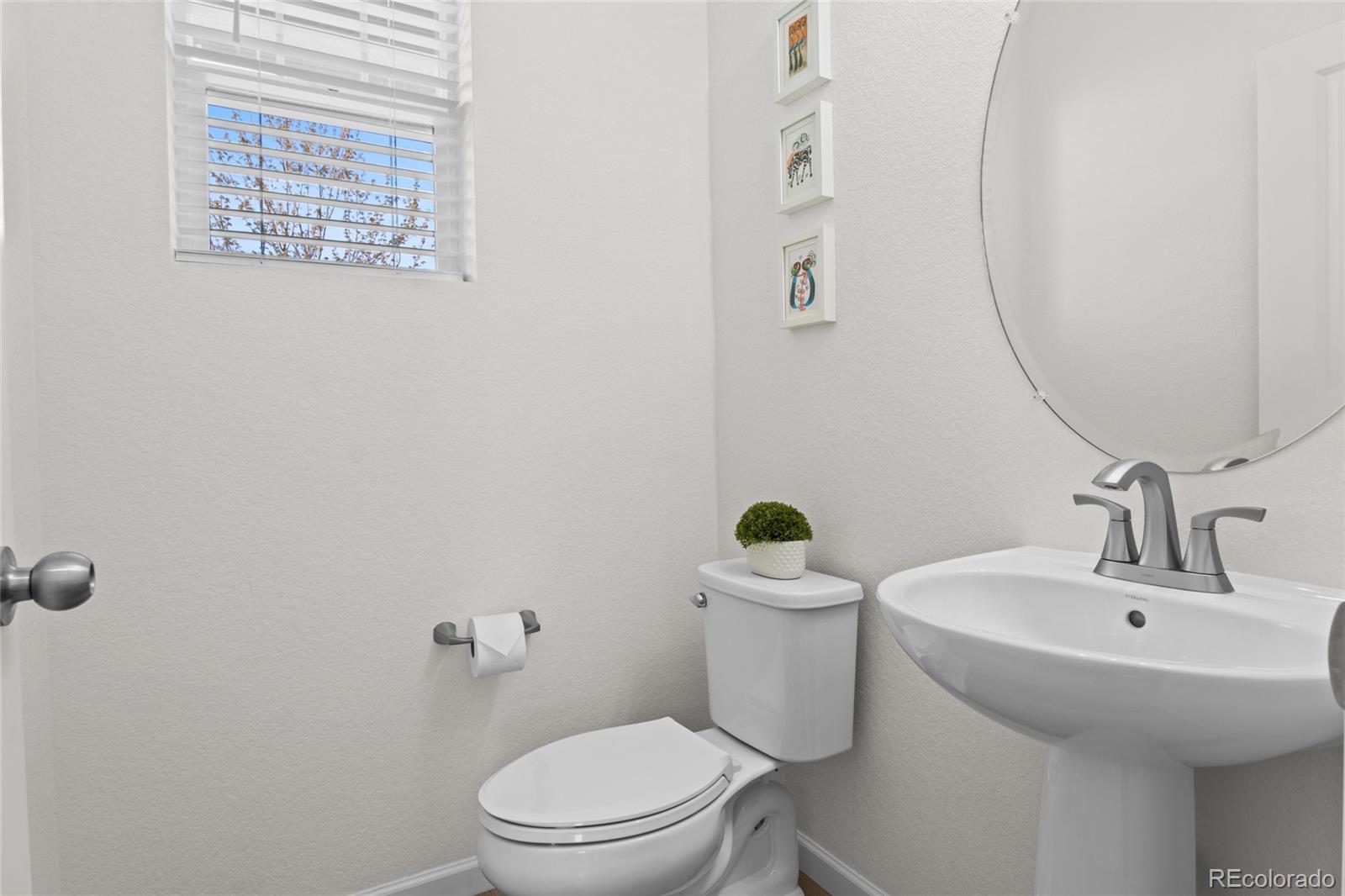 MLS Image #13 for 3418  evening place,castle rock, Colorado