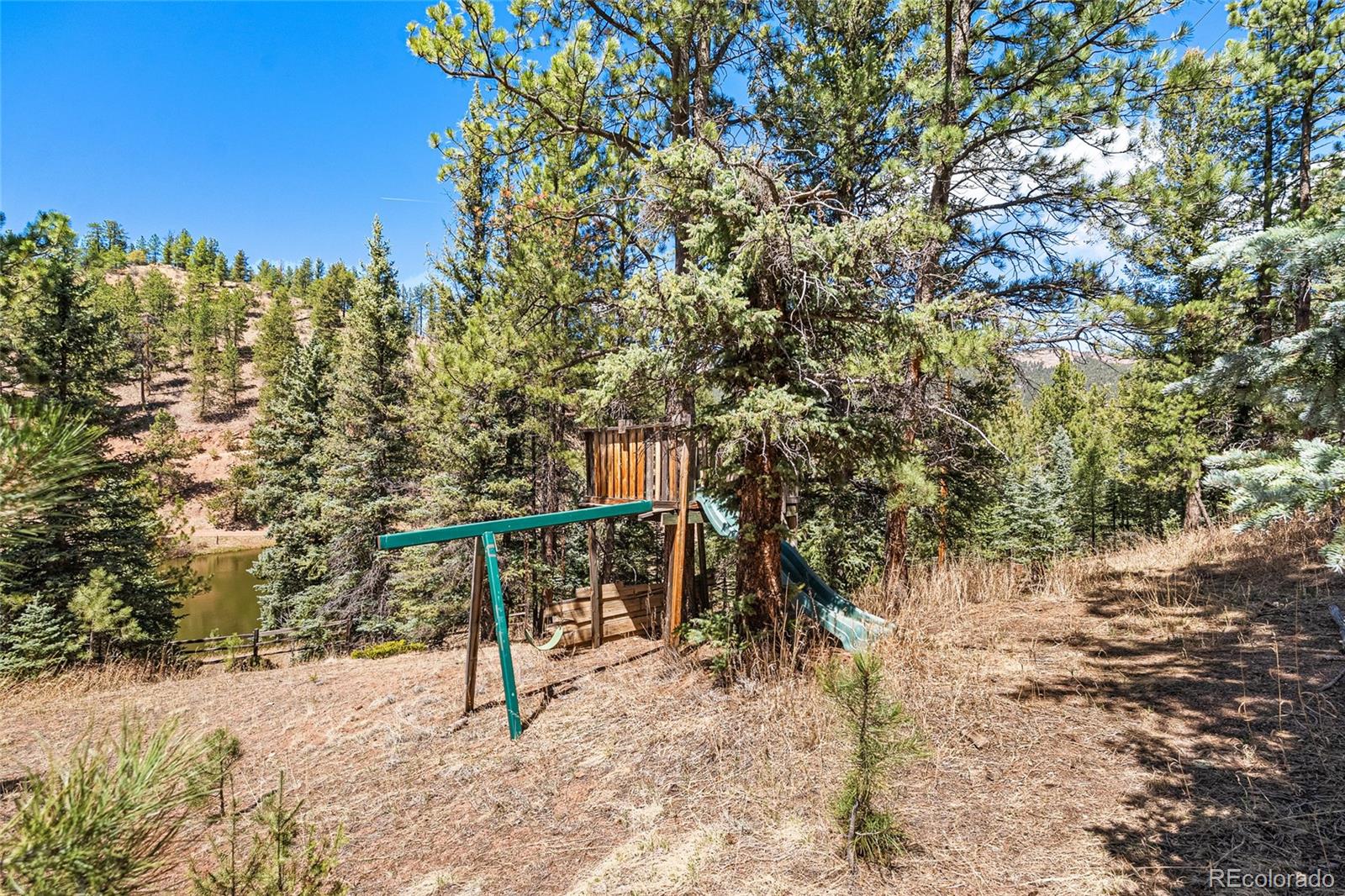 MLS Image #32 for 33769  myrna court,pine, Colorado