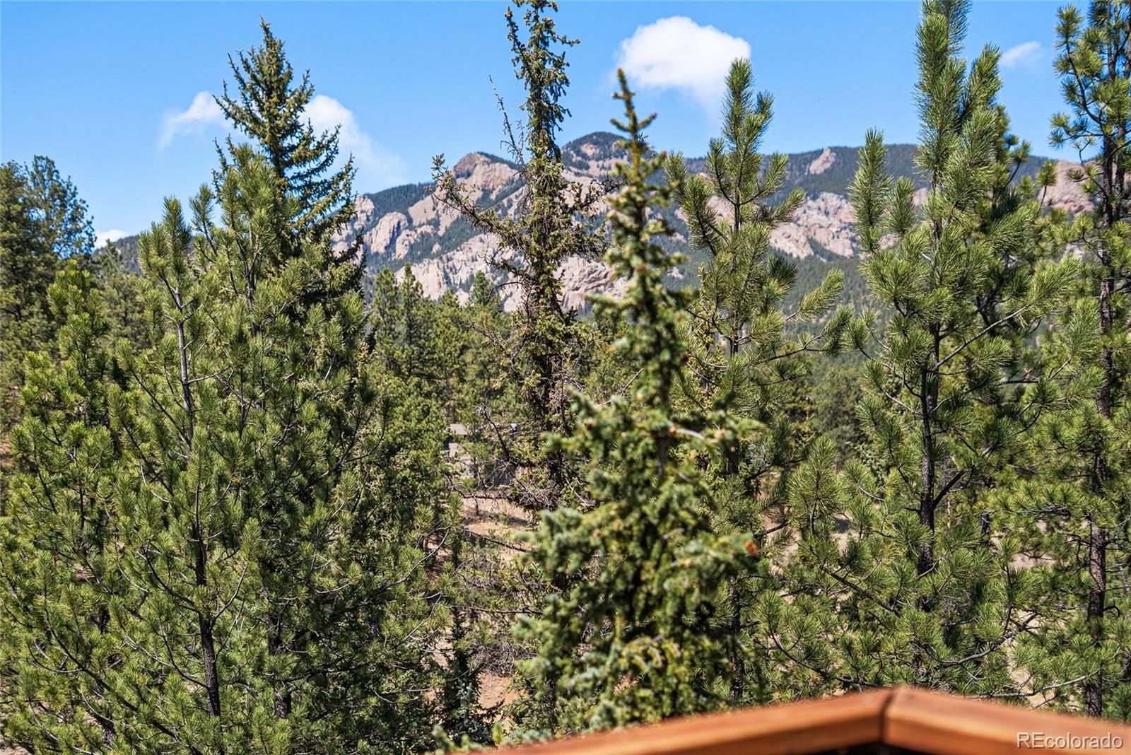 MLS Image #33 for 33769  myrna court,pine, Colorado