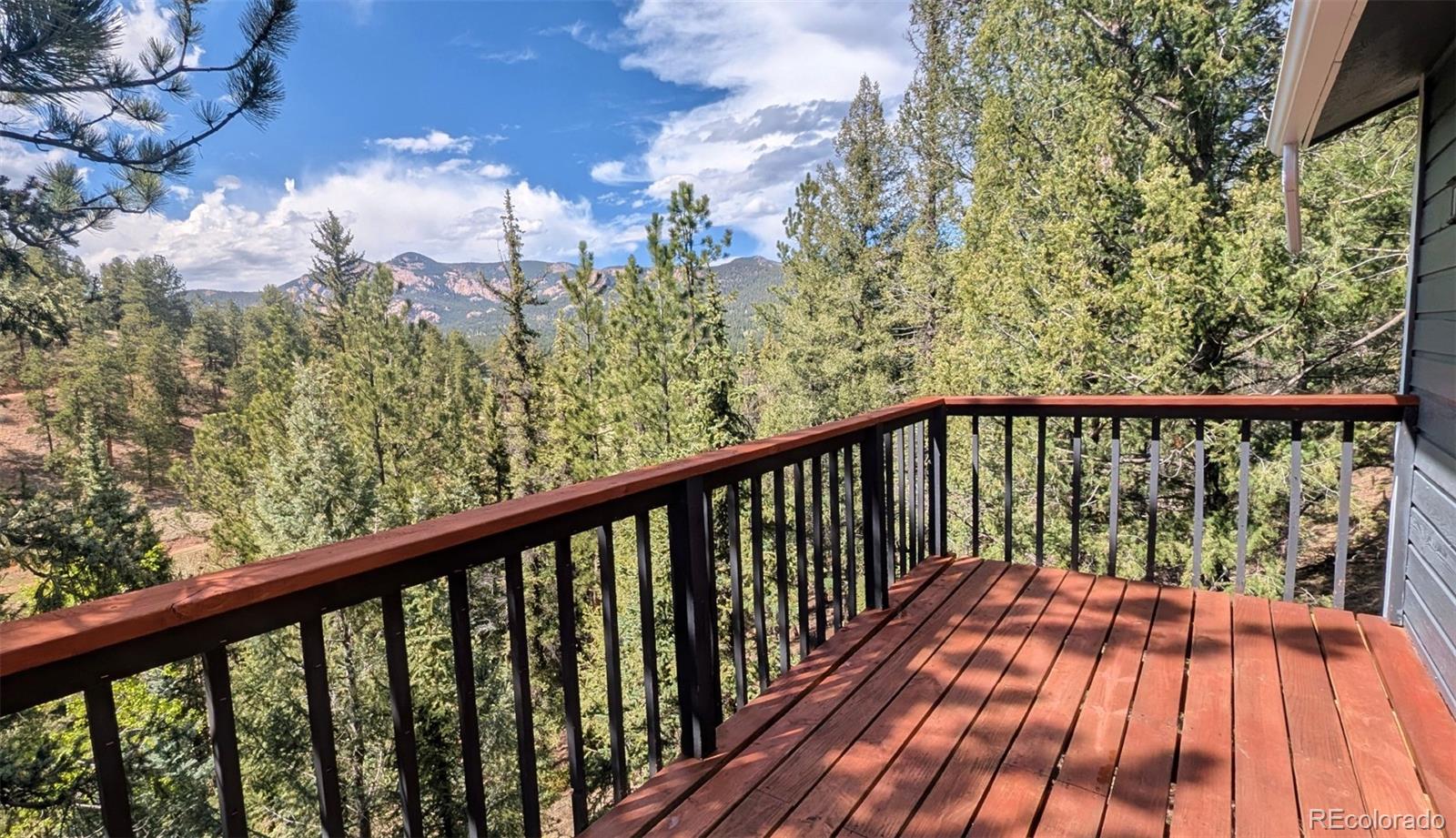 MLS Image #35 for 33769  myrna court,pine, Colorado