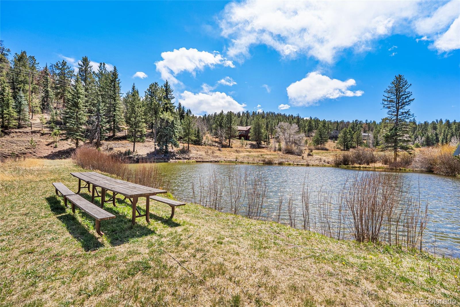 MLS Image #5 for 33769  myrna court,pine, Colorado