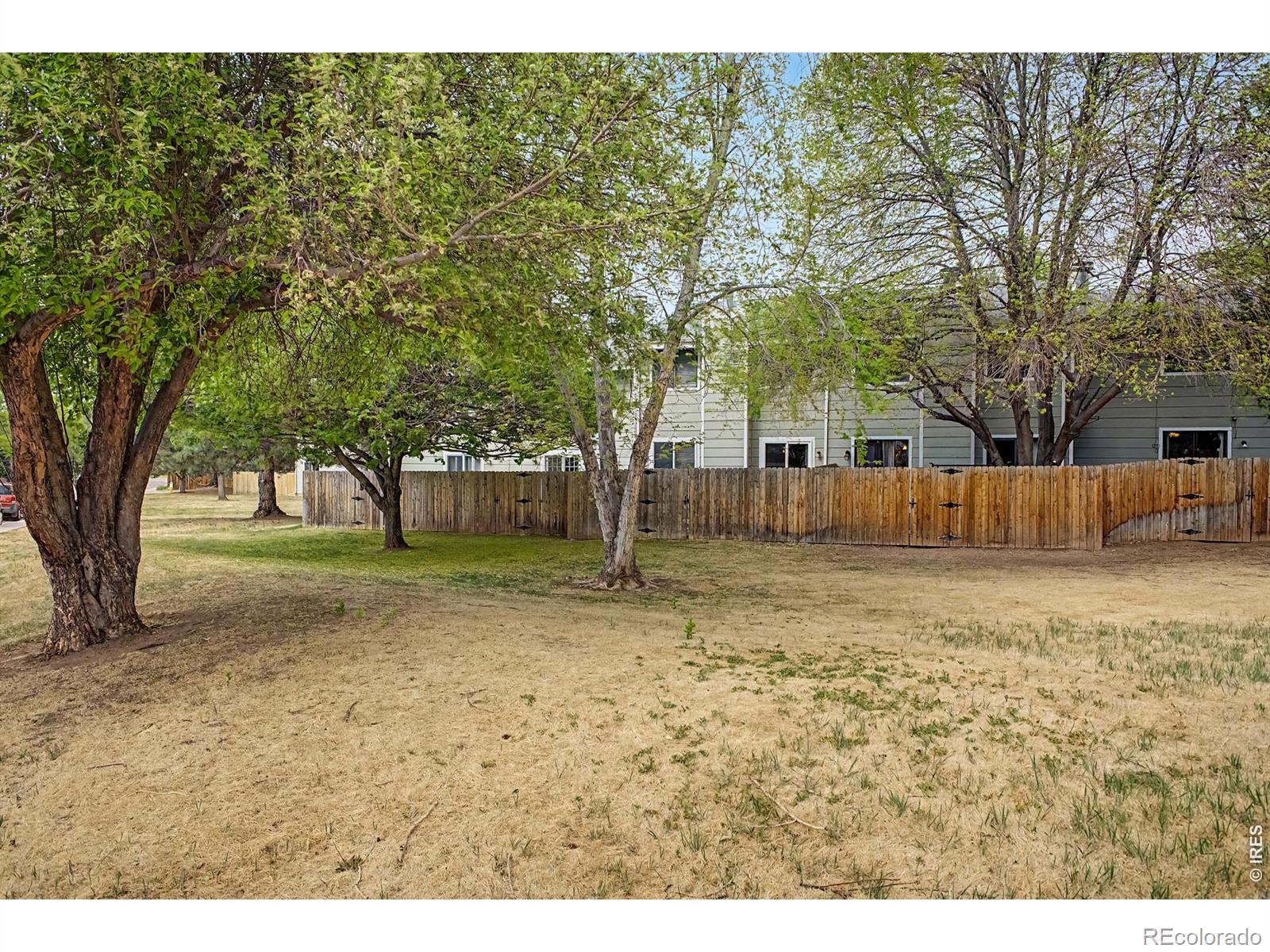 MLS Image #26 for 3440  windmill drive,fort collins, Colorado