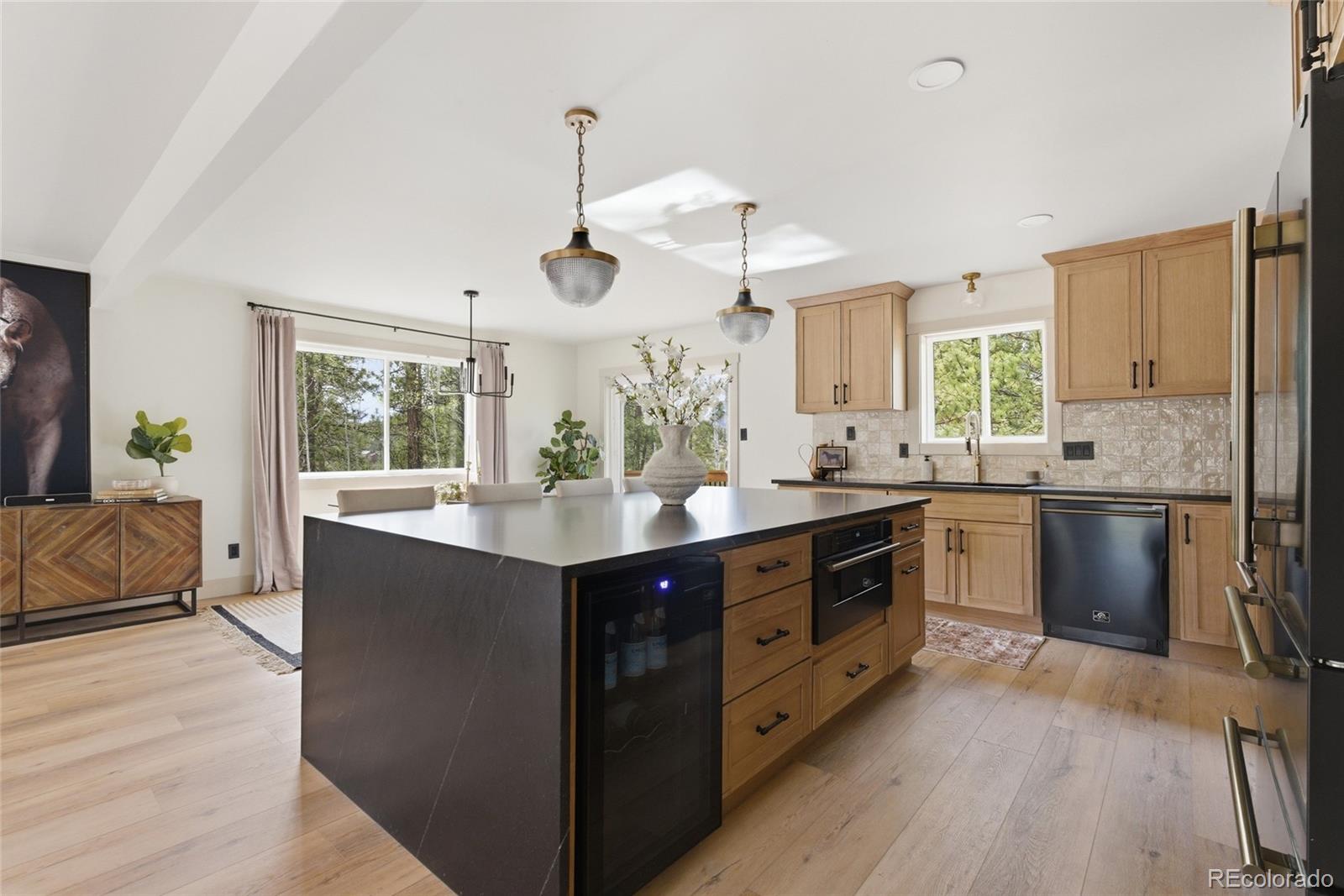MLS Image #11 for 33691  nova road,pine, Colorado