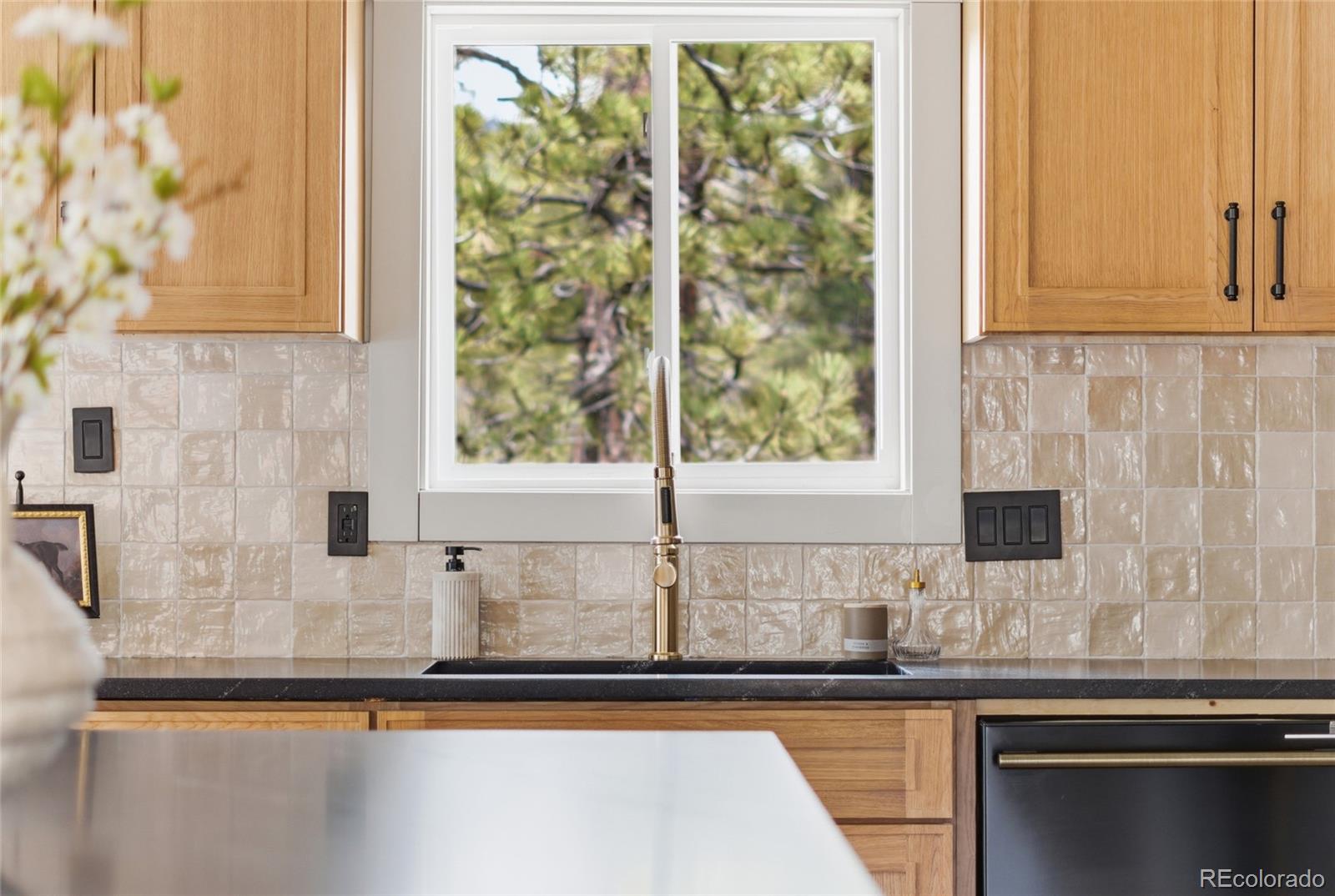 MLS Image #14 for 33691  nova road,pine, Colorado