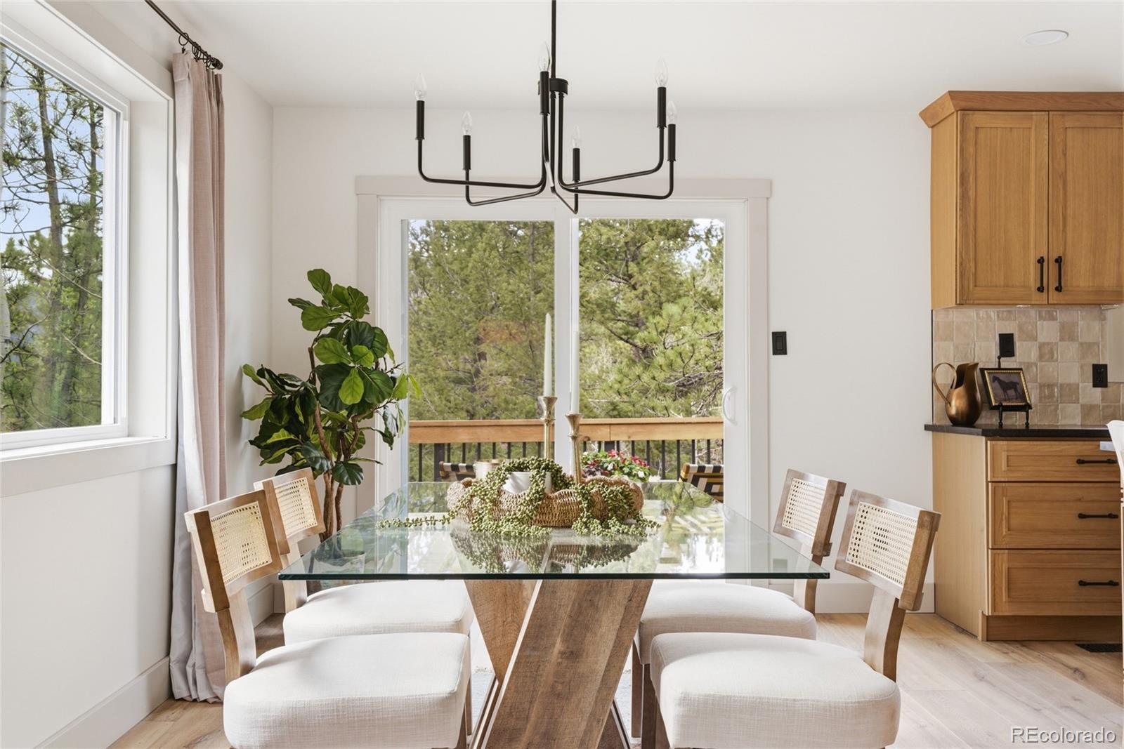 MLS Image #16 for 33691  nova road,pine, Colorado