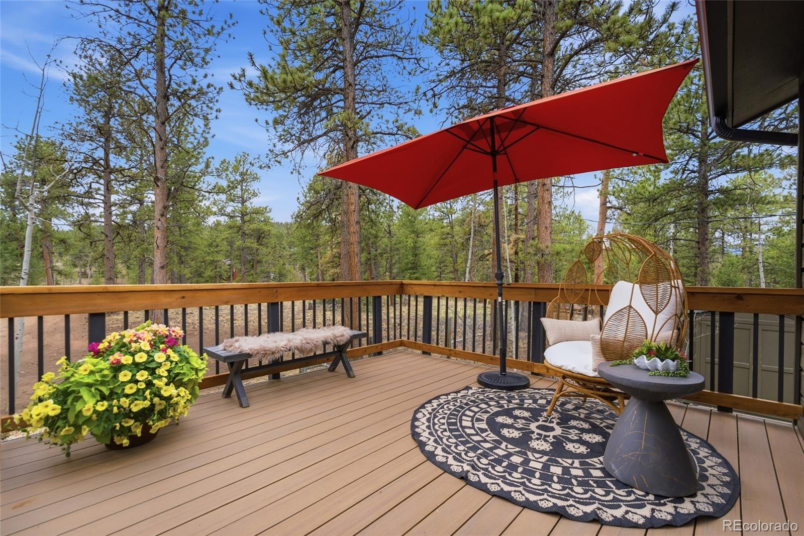 MLS Image #2 for 33691  nova road,pine, Colorado