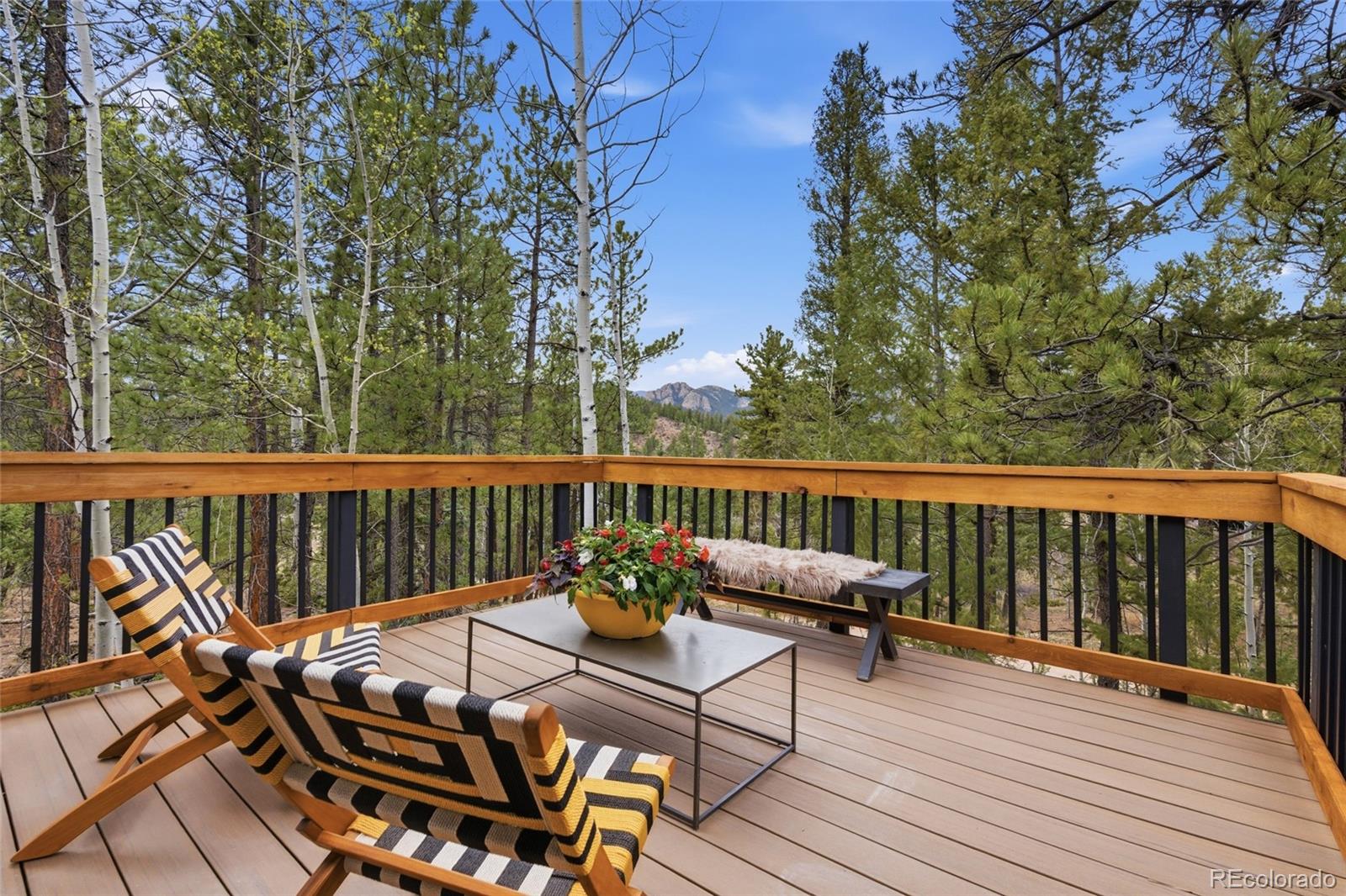 MLS Image #3 for 33691  nova road,pine, Colorado