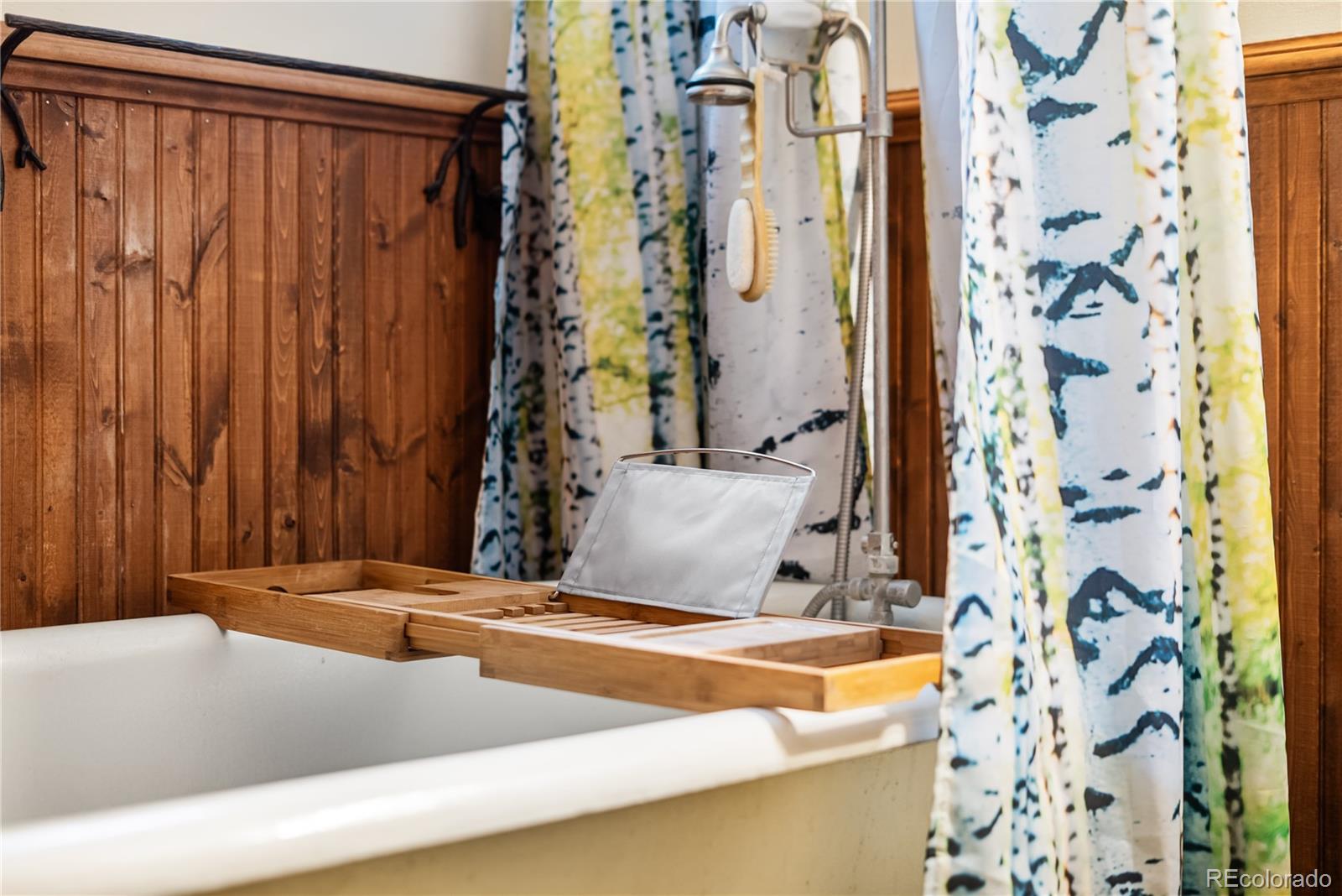 MLS Image #14 for 82  iris drive,bailey, Colorado
