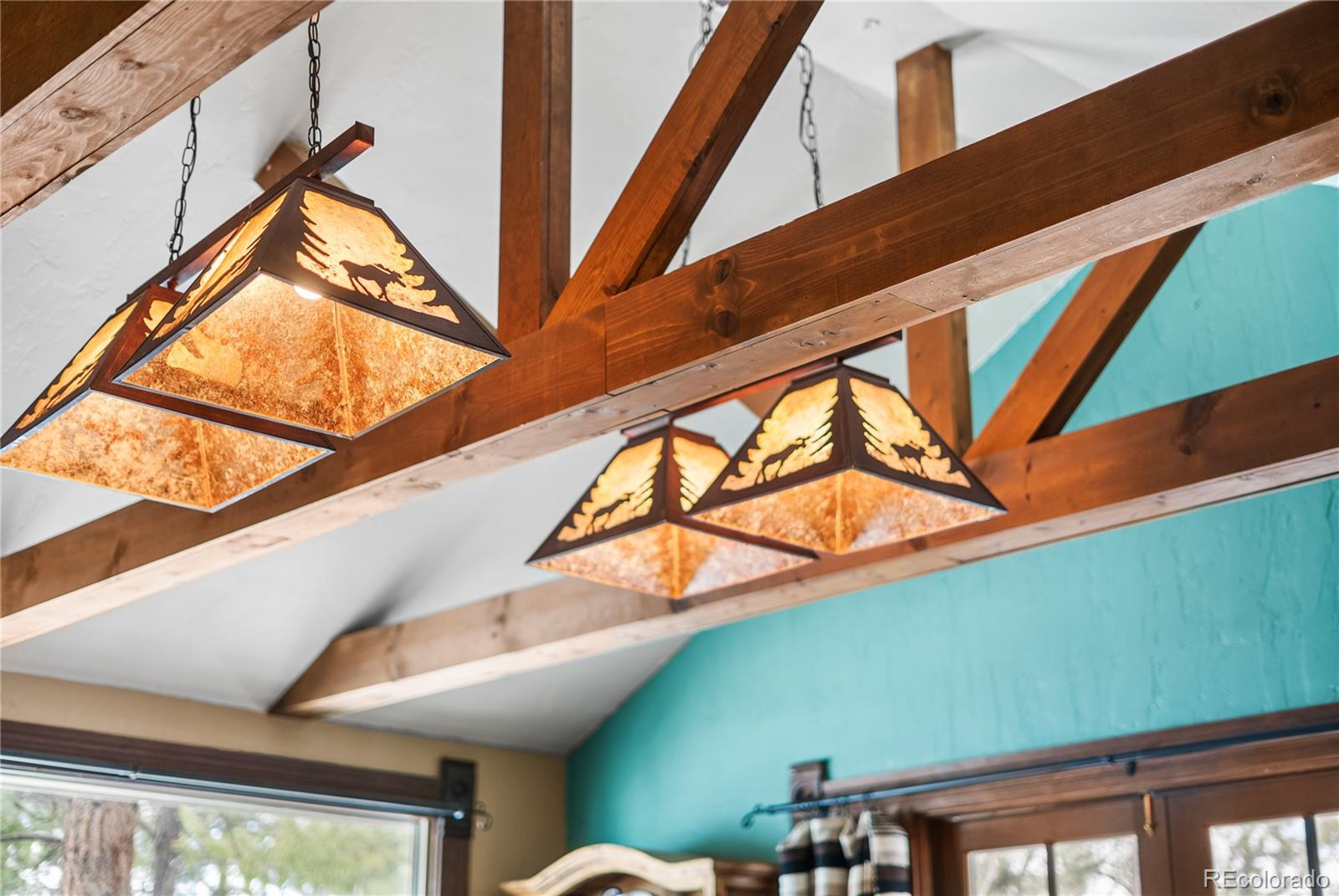 MLS Image #24 for 82  iris drive,bailey, Colorado