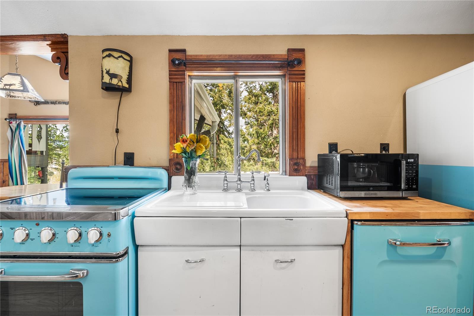 MLS Image #7 for 82  iris drive,bailey, Colorado