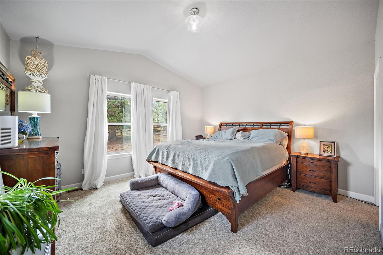 MLS Image #12 for 1101  ptarmigan drive,woodland park, Colorado