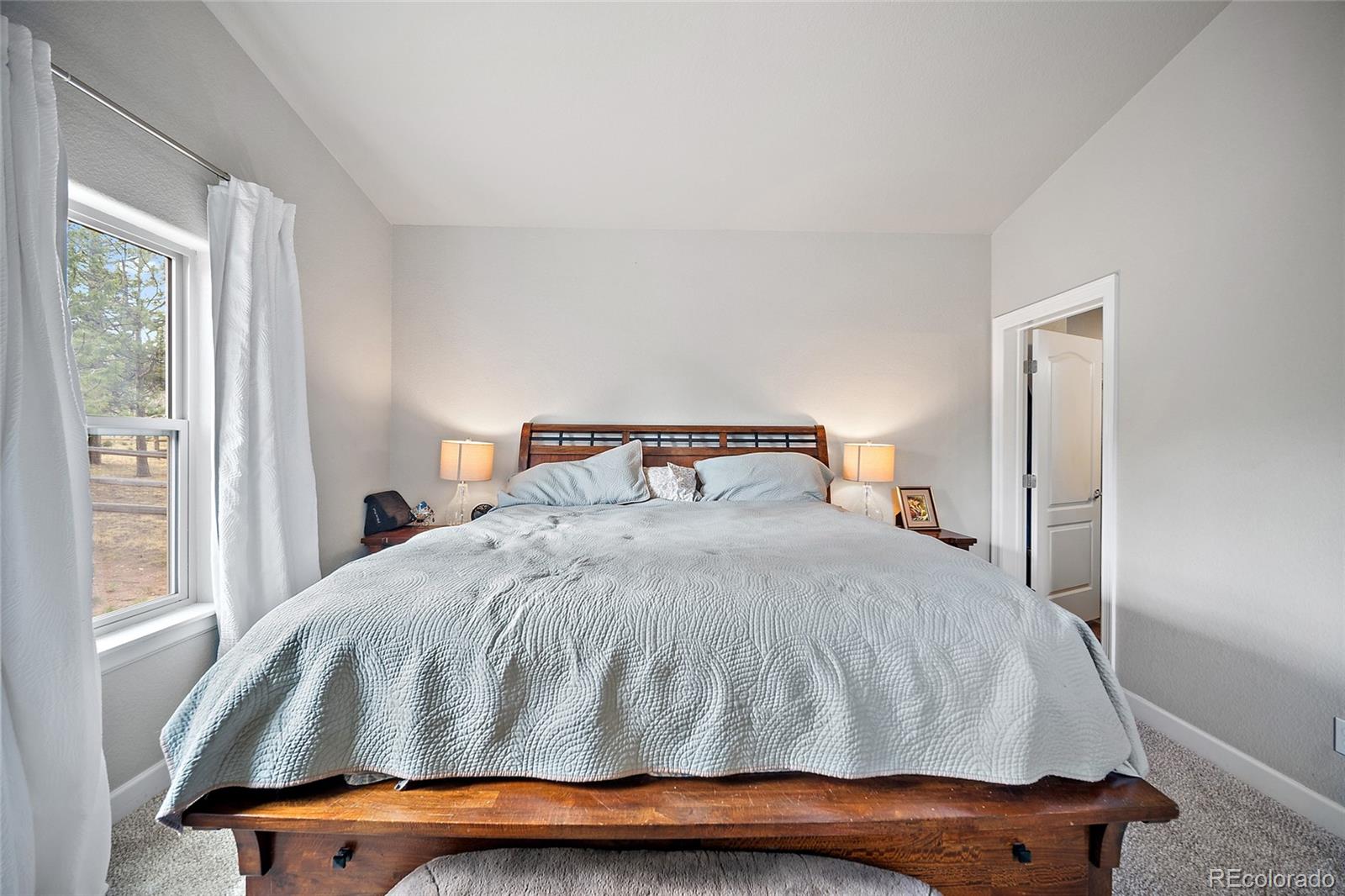 MLS Image #13 for 1101  ptarmigan drive,woodland park, Colorado