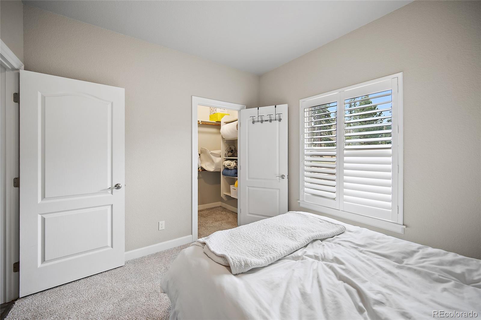 MLS Image #26 for 1101  ptarmigan drive,woodland park, Colorado