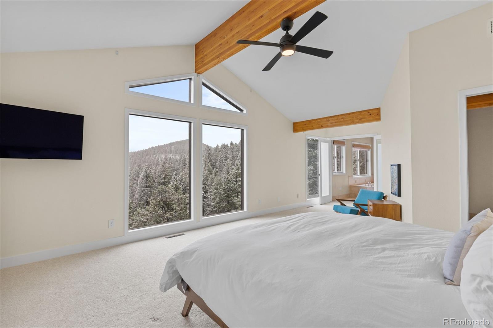 MLS Image #12 for 27822  bonanza drive,evergreen, Colorado