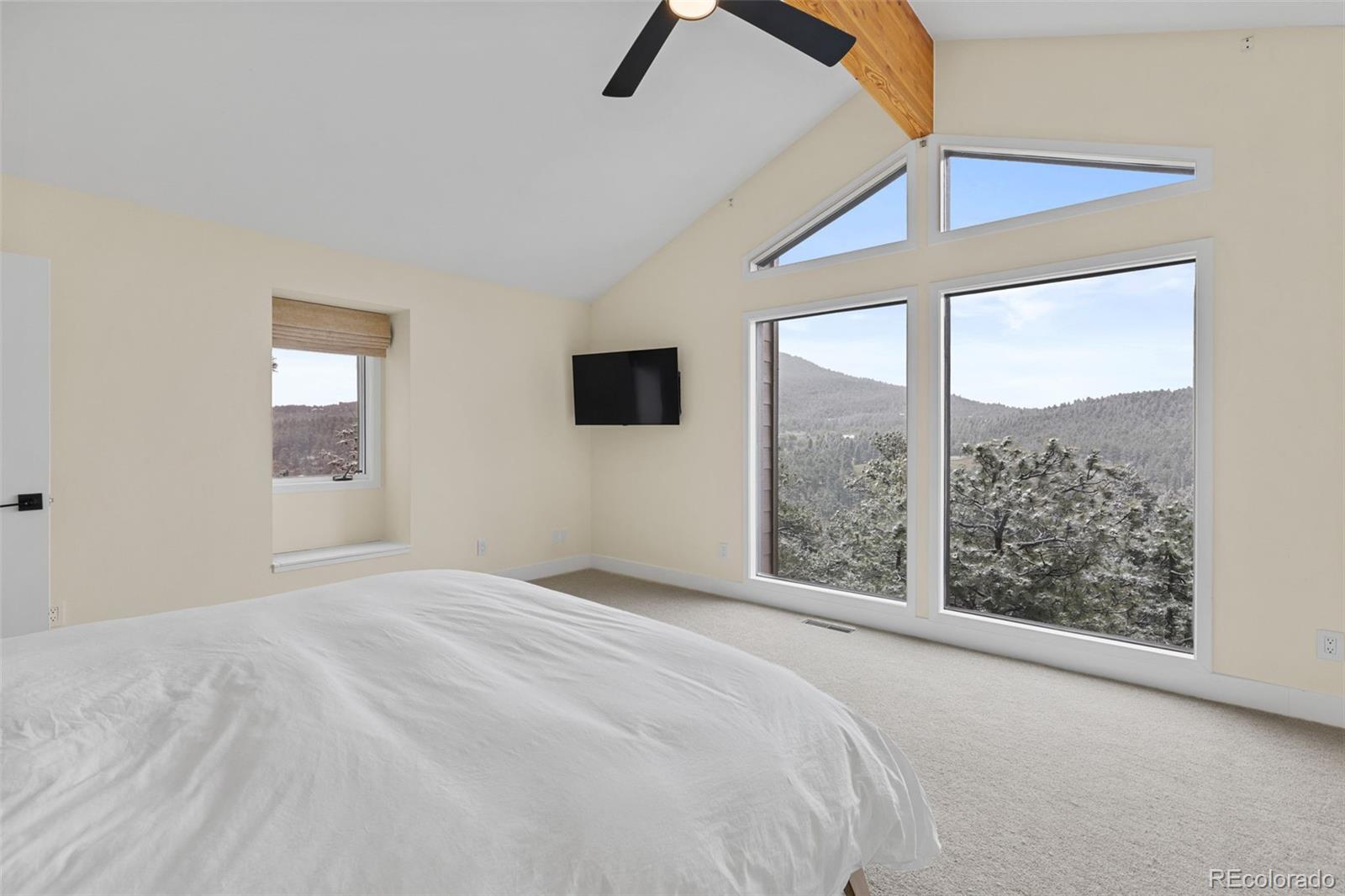 MLS Image #13 for 27822  bonanza drive,evergreen, Colorado