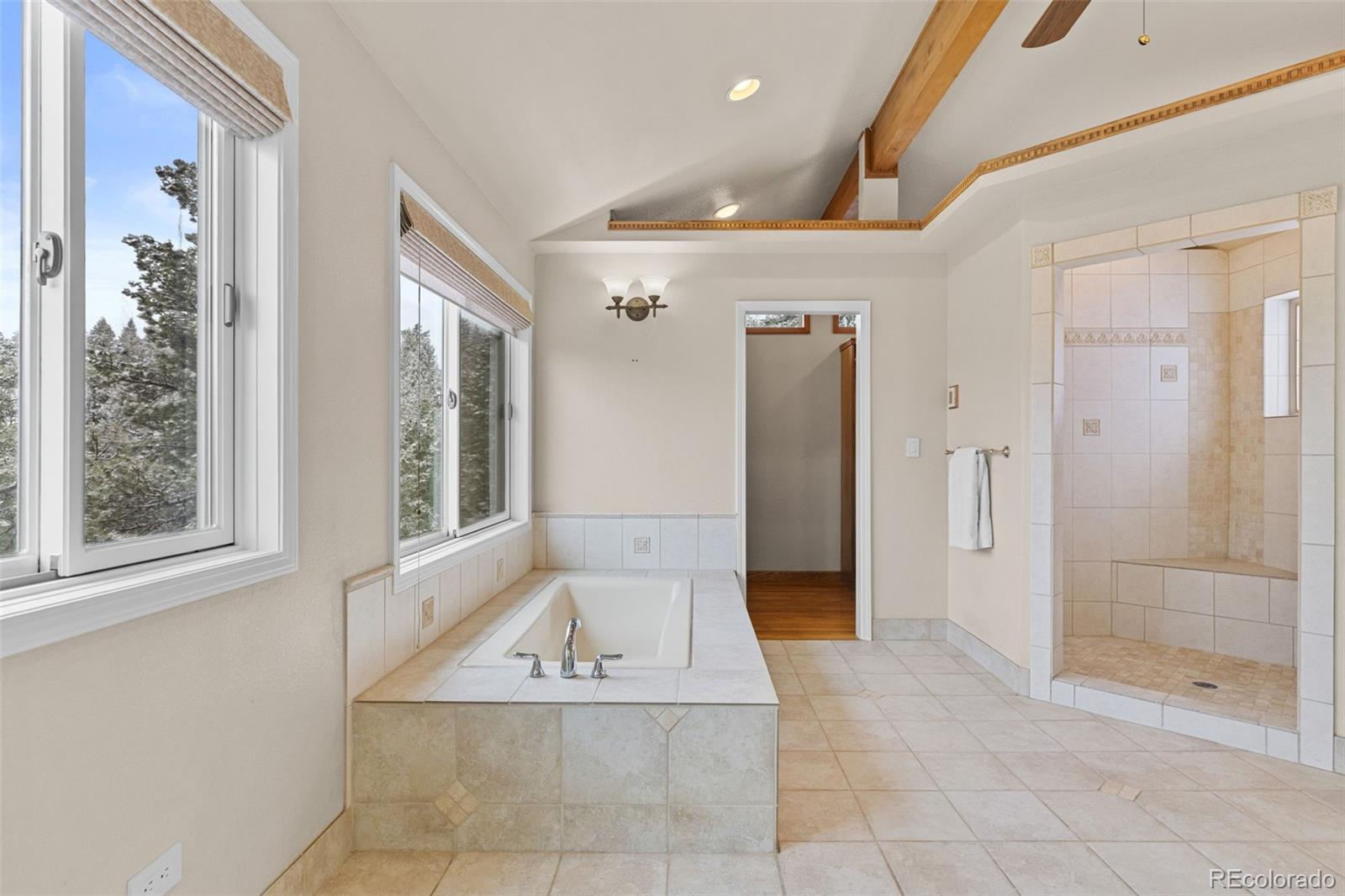MLS Image #14 for 27822  bonanza drive,evergreen, Colorado