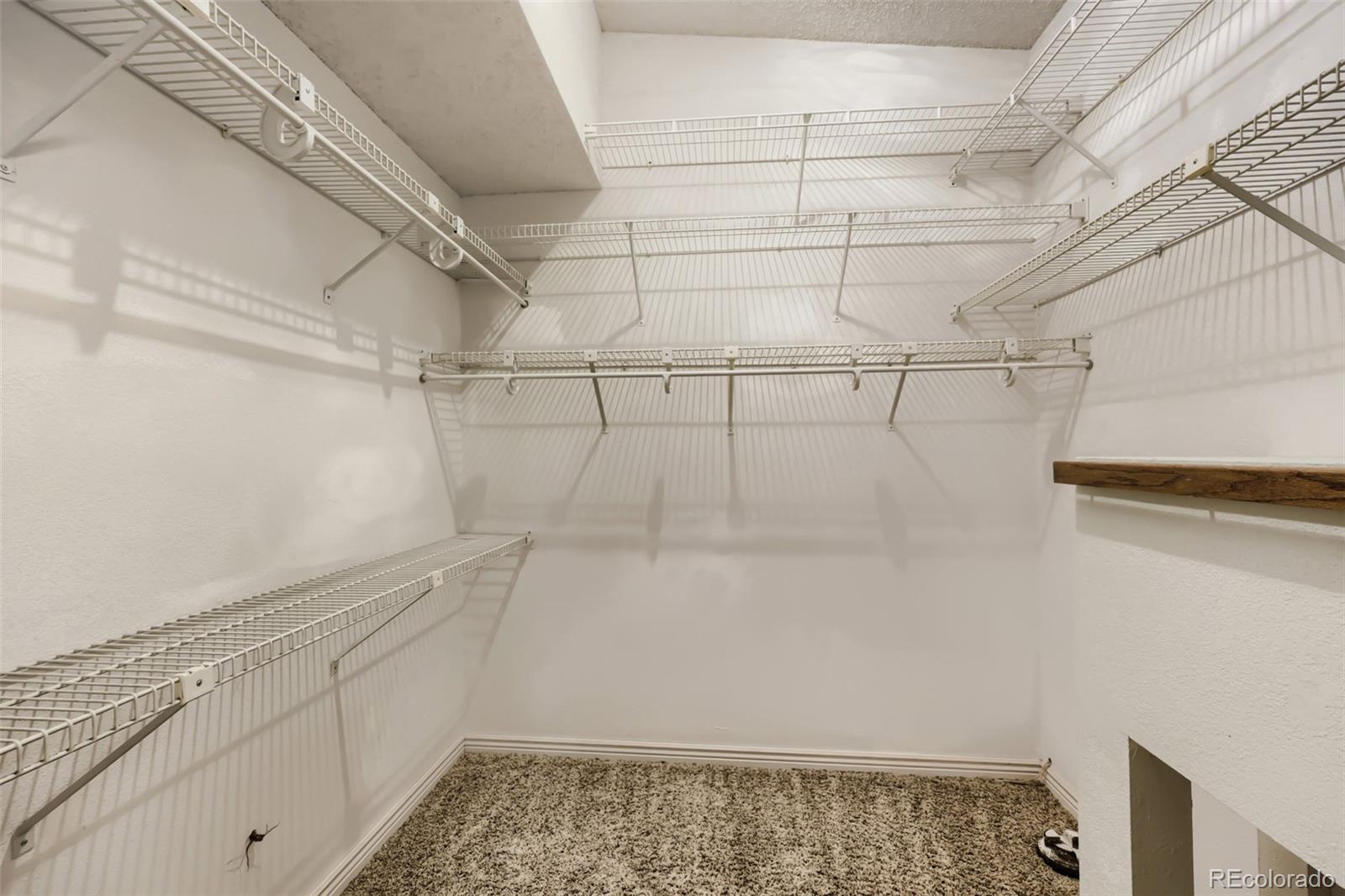 MLS Image #19 for 720 n bluff drive,franktown, Colorado