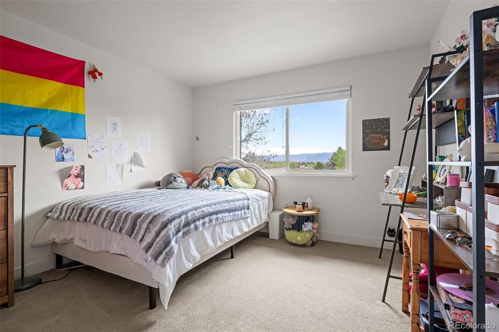 MLS Image #26 for 755  old stone drive,highlands ranch, Colorado