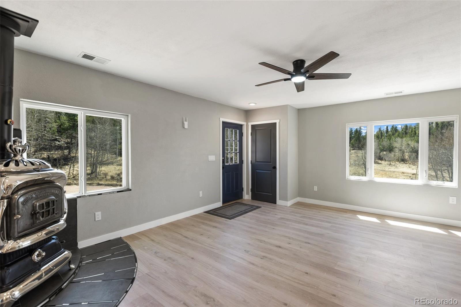 MLS Image #10 for 61  garnet lane,lake george, Colorado