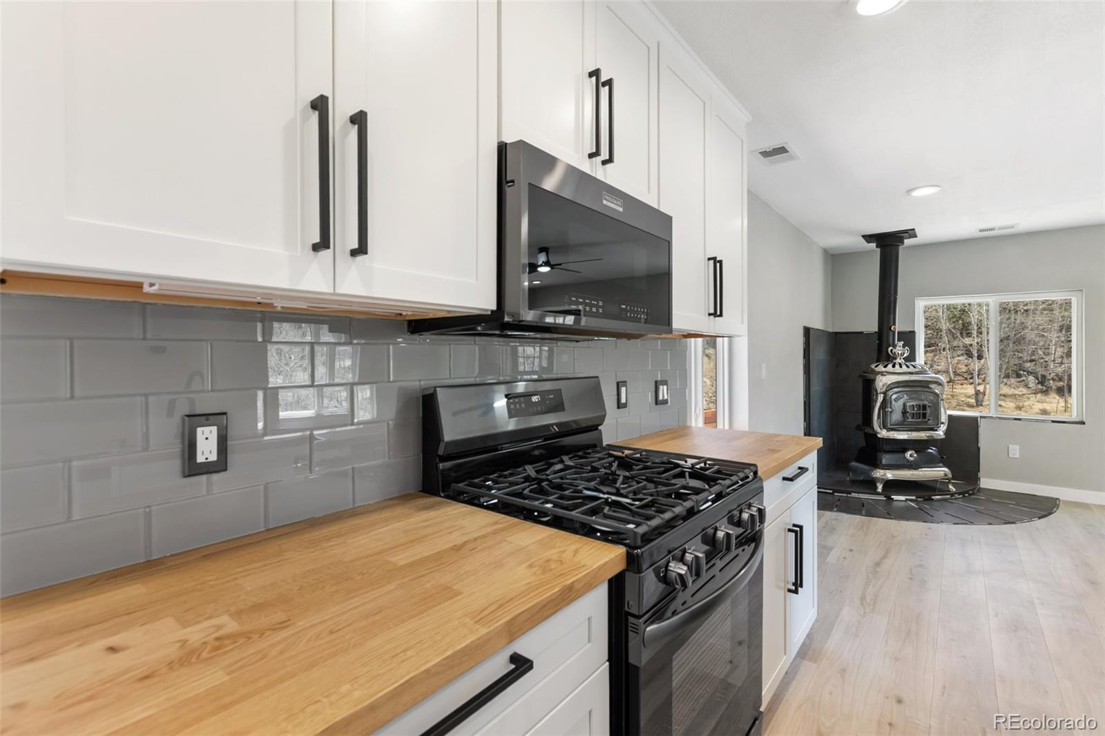 MLS Image #12 for 61  garnet lane,lake george, Colorado