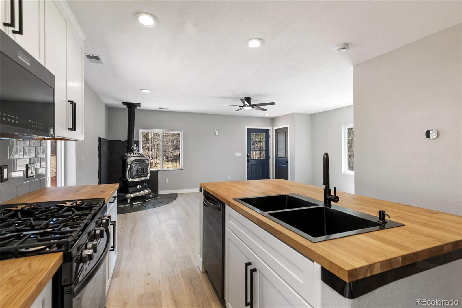 MLS Image #13 for 61  garnet lane,lake george, Colorado