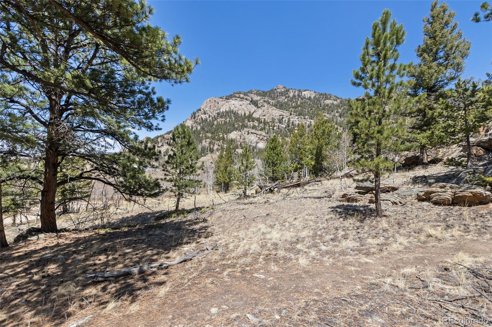 MLS Image #36 for 61  garnet lane,lake george, Colorado