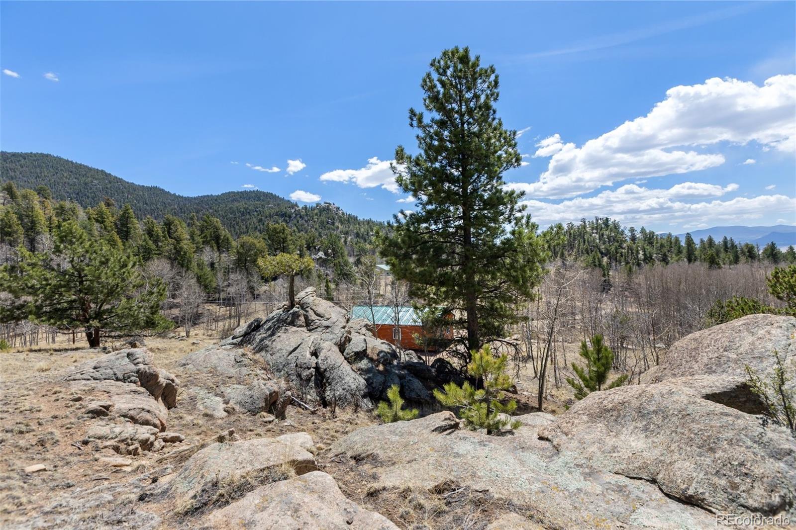 MLS Image #37 for 61  garnet lane,lake george, Colorado