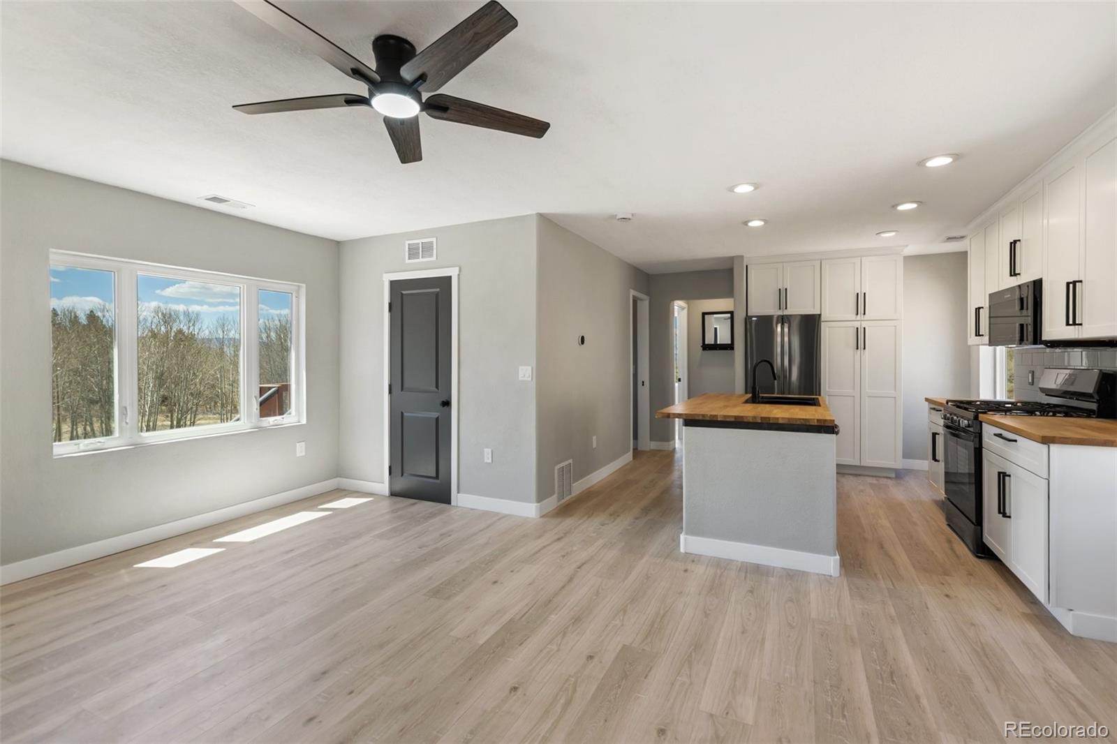 MLS Image #8 for 61  garnet lane,lake george, Colorado