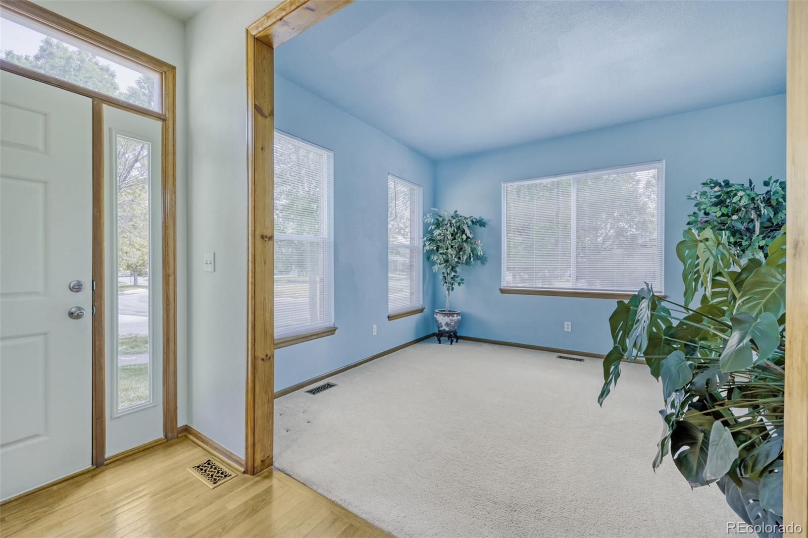 MLS Image #3 for 97  prairie falcon parkway,brighton, Colorado