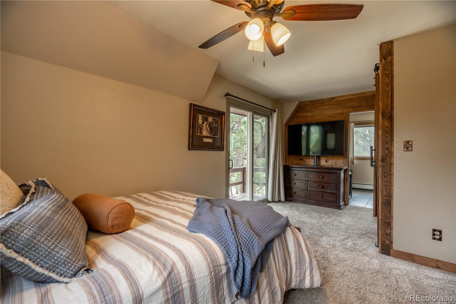 MLS Image #11 for 43  doe circle,bailey, Colorado
