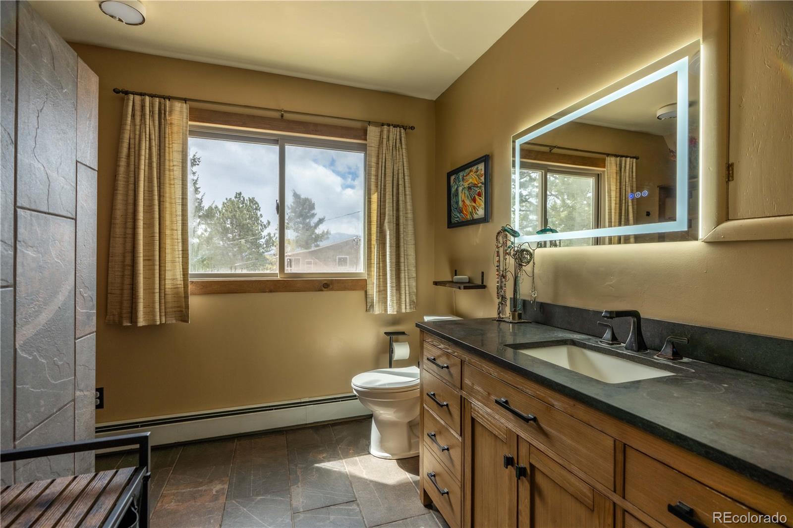 MLS Image #12 for 43  doe circle,bailey, Colorado