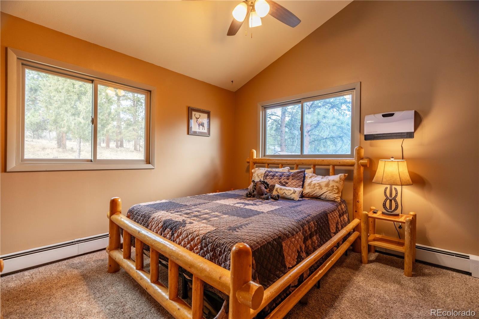 MLS Image #14 for 43  doe circle,bailey, Colorado
