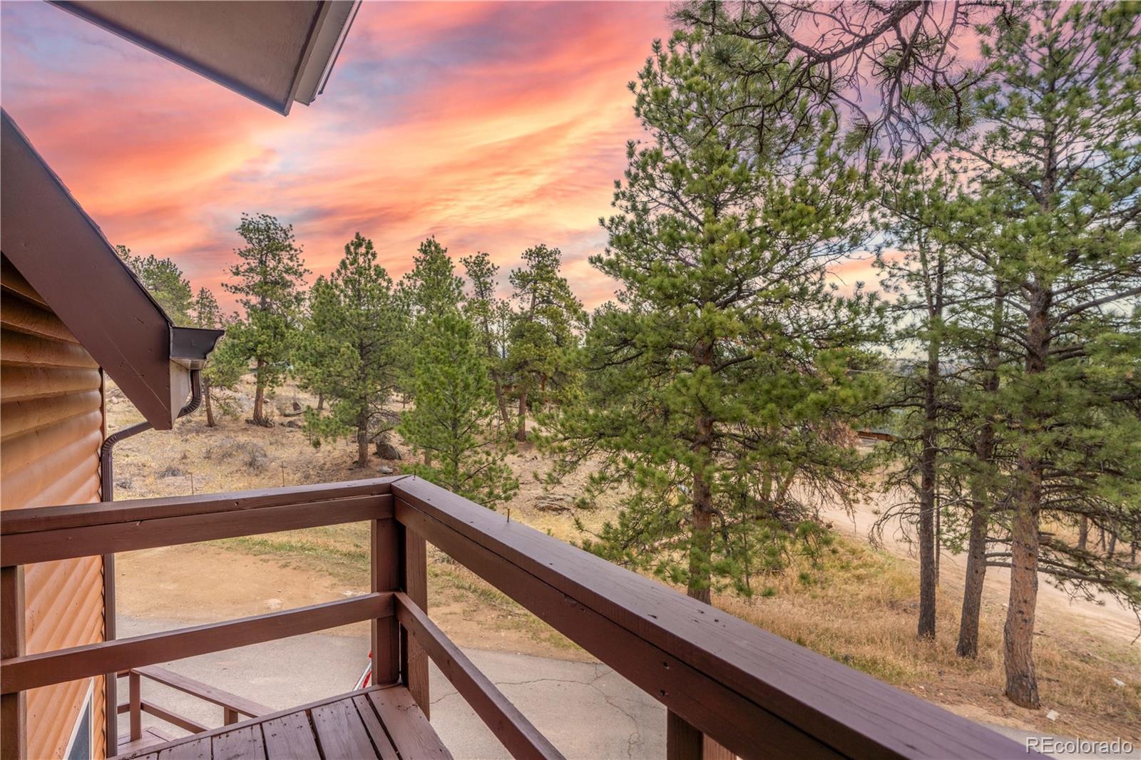 MLS Image #16 for 43  doe circle,bailey, Colorado