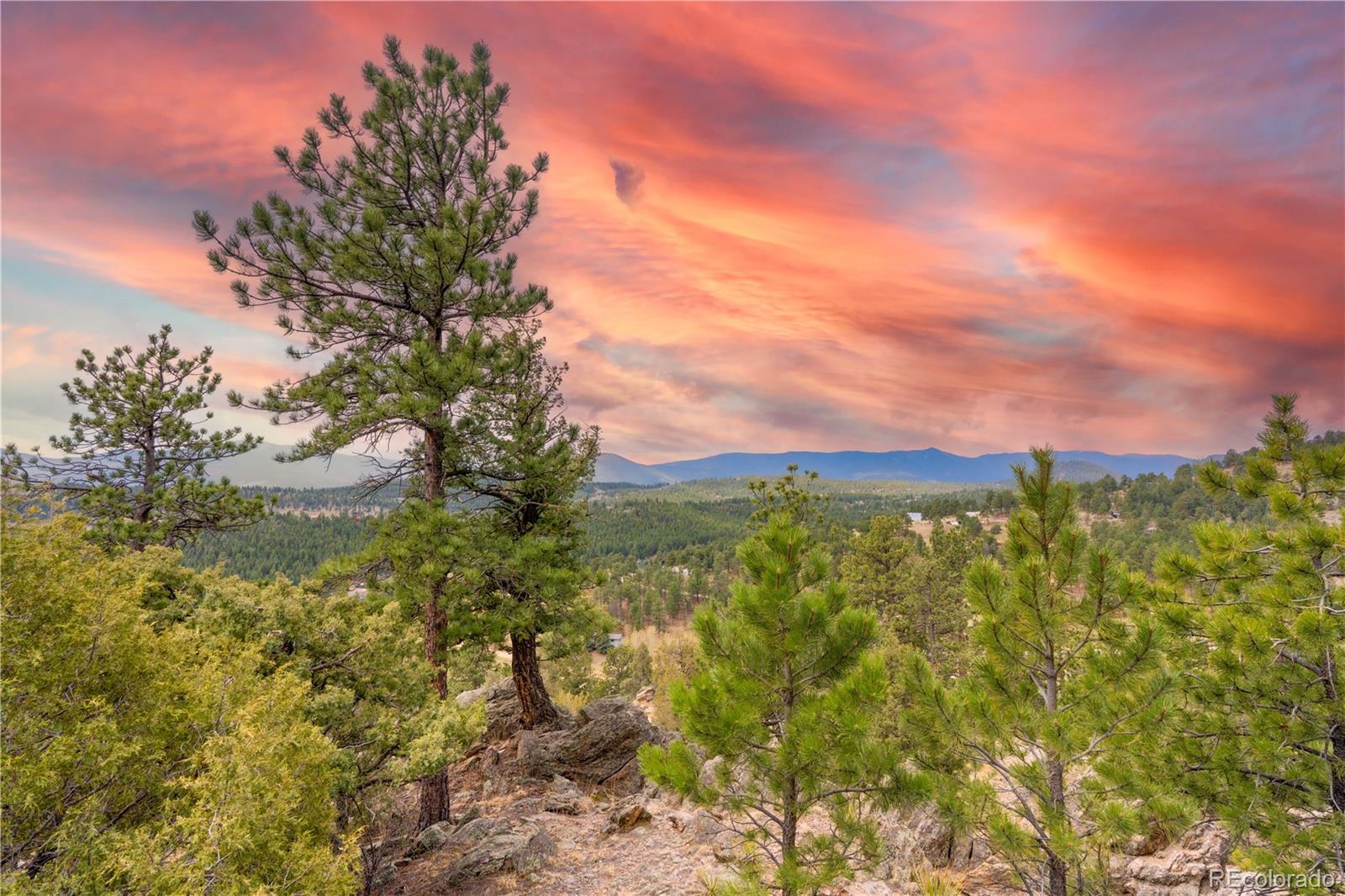MLS Image #17 for 43  doe circle,bailey, Colorado