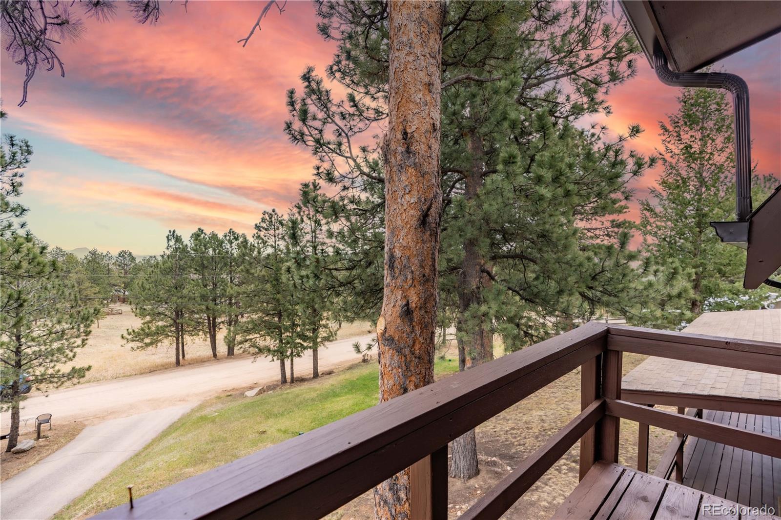 MLS Image #18 for 43  doe circle,bailey, Colorado
